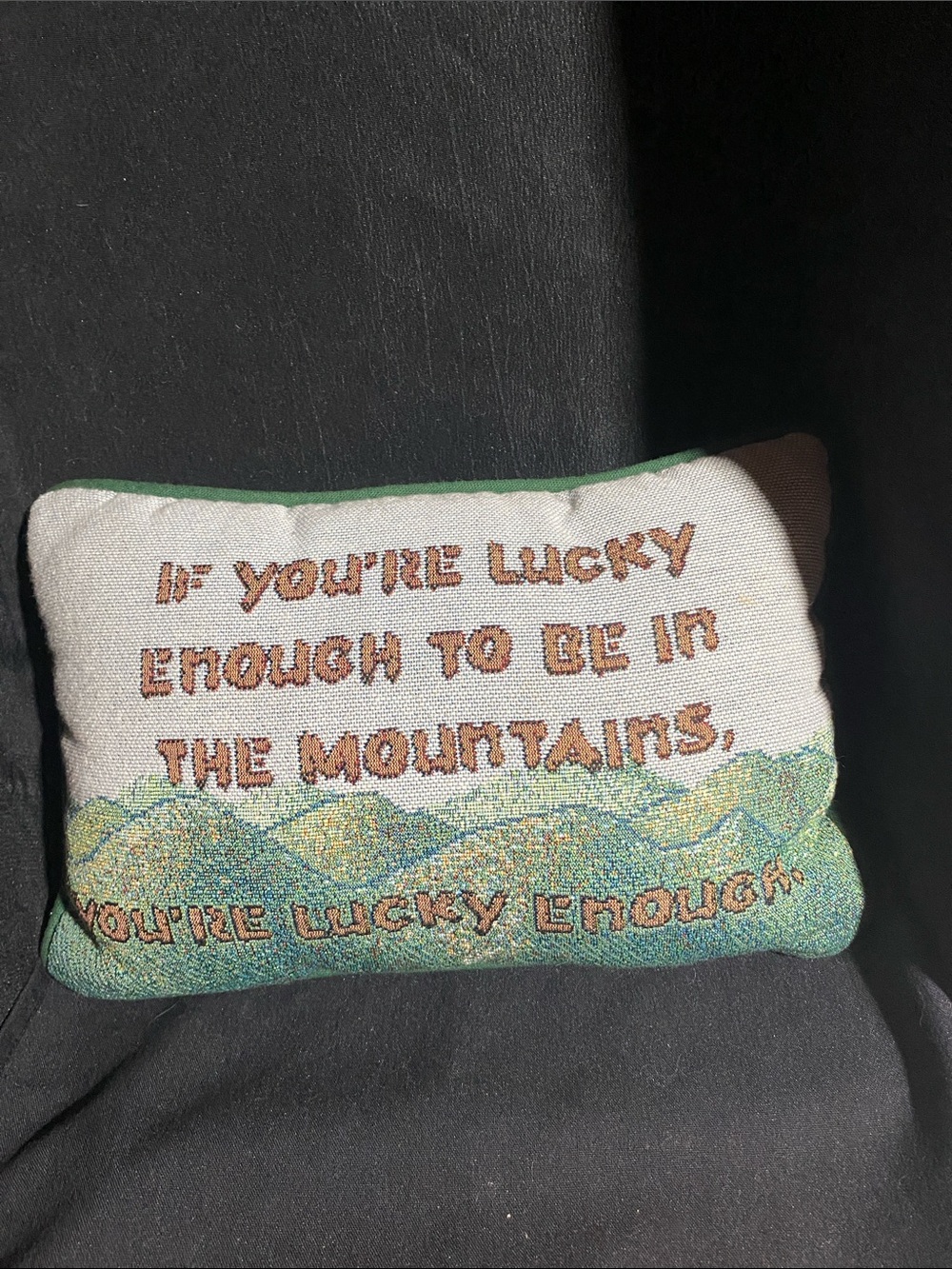 If You're Lucky Enough To Be In The Mountains Tapestry Throw  / Back Pillow